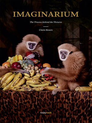 cover image of Imaginarium
